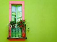 pic for green wall window 1920x1408